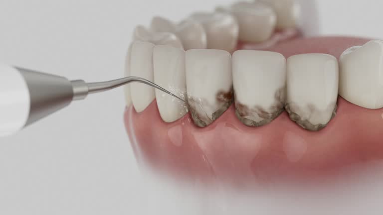 Reliable Dental contractor in Wauconda, IL by Dentist Open Now